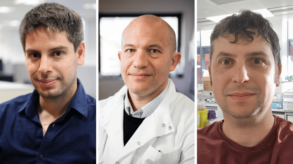 Collage of three grant holders for the 2025 Translational Research Accelerator Grants. From left to right: Dr Antonis Pouliopoulos, Prof Marc Mansour and Dr James Poulter