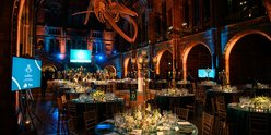 image of inside of natural history museum