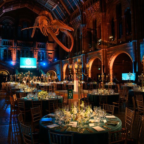 image of inside of natural history museum