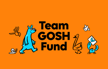 On a bright orange background, the copy in the centre reads: Team GOSH funds. The copy is surrounded by cartoon animals including a big blue bear, a duck, a crab, a snail, a robin and a parrot.