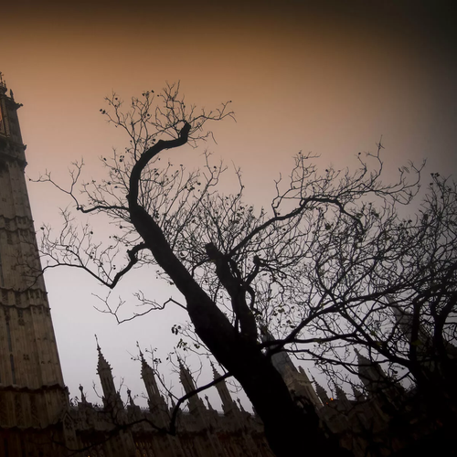 Big Ben at twilight with an orange clock face and the silhouette of a spooky bare tree