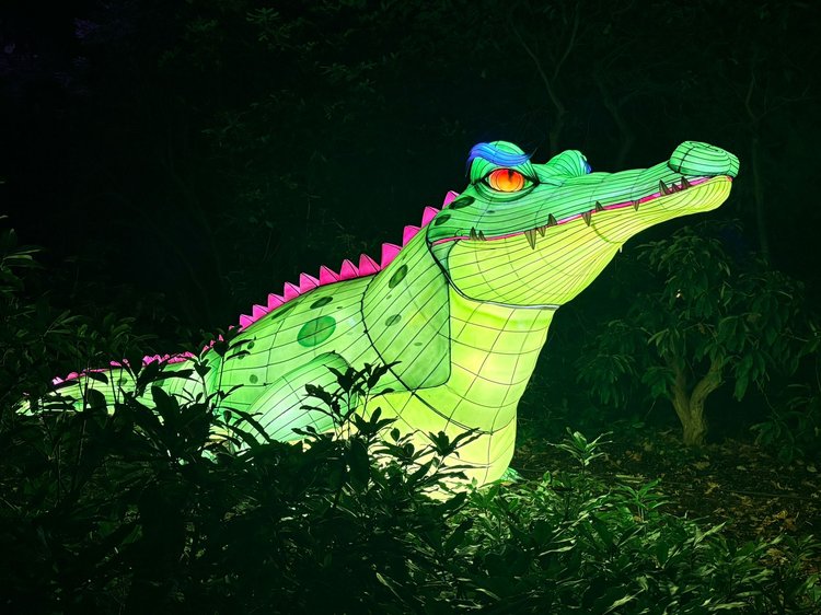A giant crocodile lit up outside. It is dark.