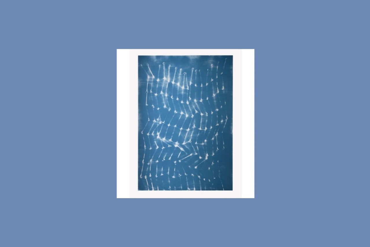 Mona Hatoum Bed Springs (blue)