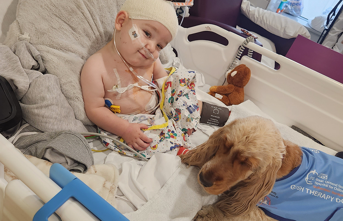 A little boy lying on a hospital bed with a therapy dog