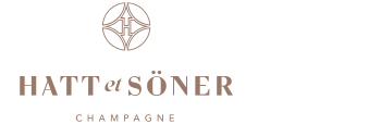 Hatt et Soner logo