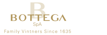 Bottega logo
